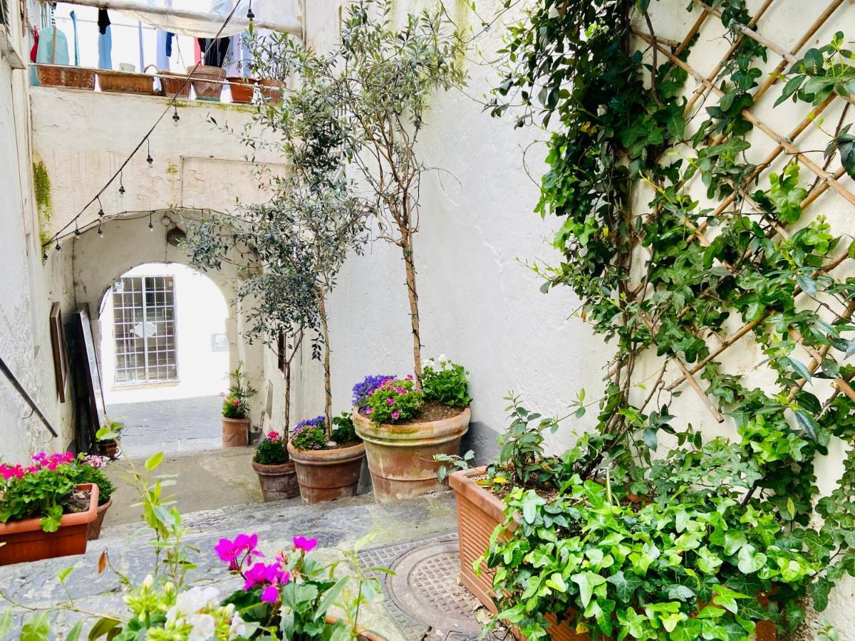 Casa Viggiano In The Heart Of Amalfi Apartment Bagian luar foto